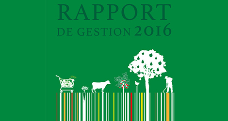Rapport annuel 2016
