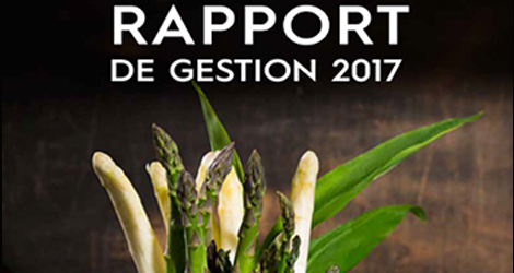 Rapport annuel 2017